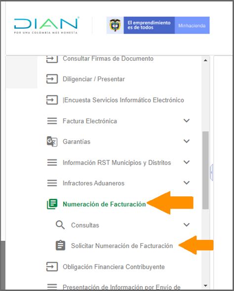 Solicitar habilitación rangos numeración facturación DIAN Portal de