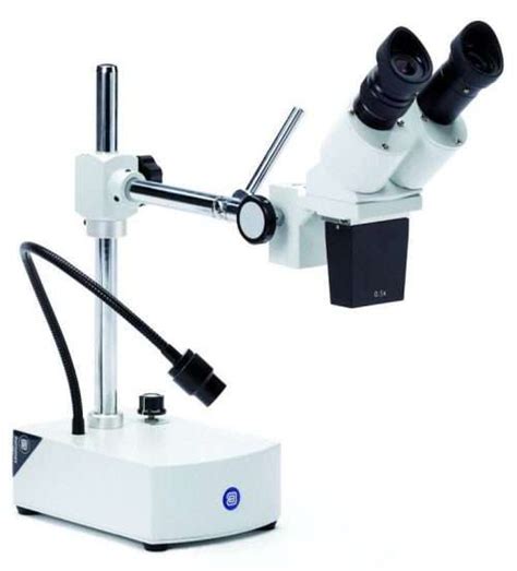 Leica M A Automated Stereo Microscope Gt Vision