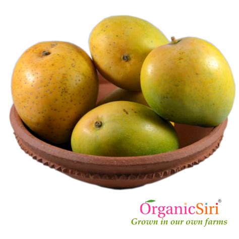 Mango Banginapalli Organicsiri Farms