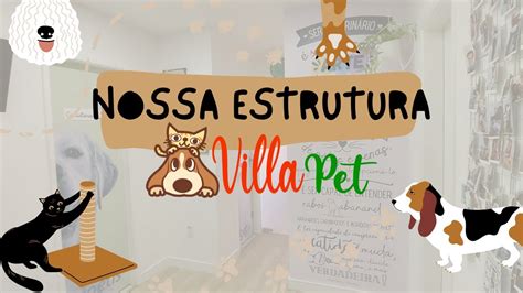 Nossa Estrutura Villa Pet Veterinária YouTube