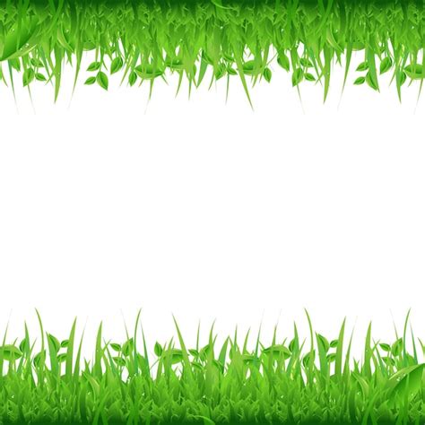 Premium Vector Grass Borders