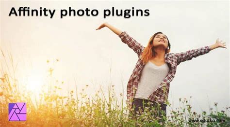 Affinity Photo Plugins Automatically Installed Plugins