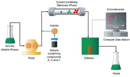 High Performance Liquid Chromatography Labster Theory