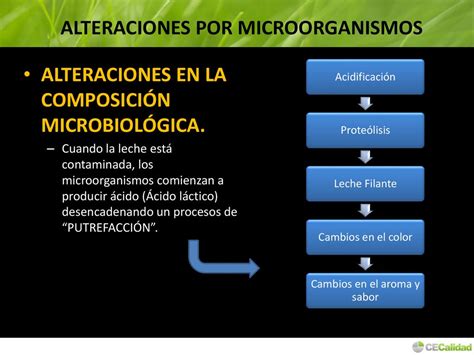 MICROBIOLOGÍA INDUSTRIAL DE PRODUCTOS LÁCTEOS ppt descargar