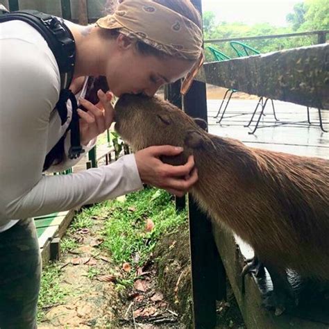 Capybara With Human