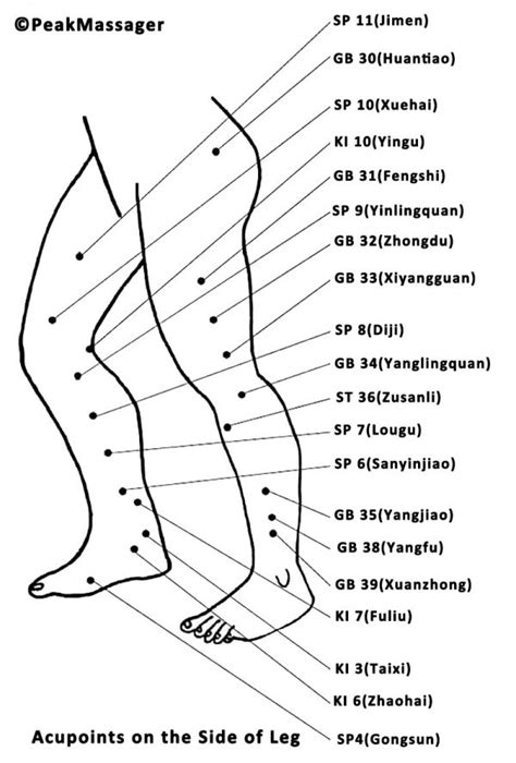 Leg Acupressure Points 50 Pressure Points In Leg Peakmassager