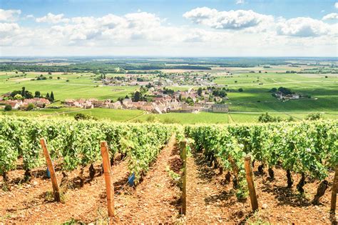 Burgundy Wine Driving Tour With Ultimate Drives