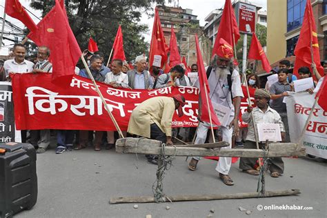 मिटर व्याजीको विरोधमा किसानहरु हलो जुवा बोकेर निस्के सडकमा Online Khabar