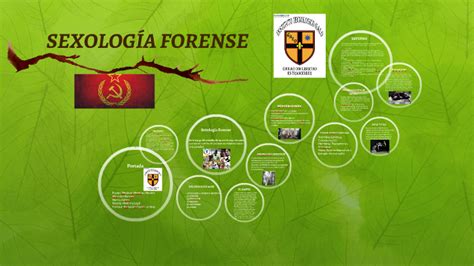 SexologÍa Forense By Rafa Rosales On Prezi