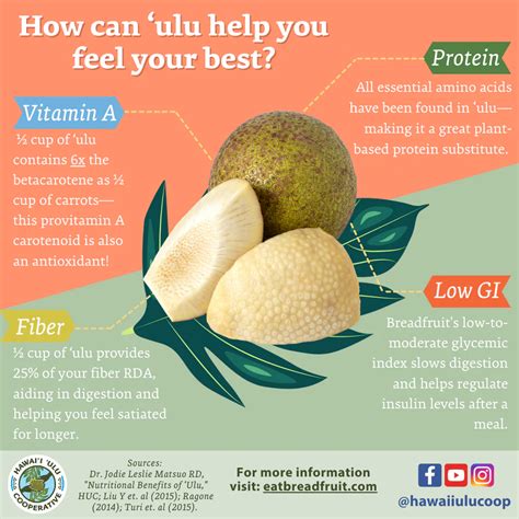 Breadfruit Nutritional Benefits How to Feel Your Best Hawaiʻi ʻUlu