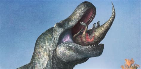 Tyrannosaurus Rex Our New Research Shows It Covered Its Enormous Teeth