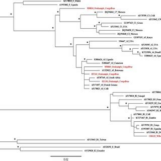 Maximum Likelihood Phylogenetic Tree Constructed With Nucleotide Orf K