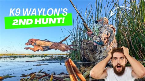 South Florida Duck Hunting Youtube