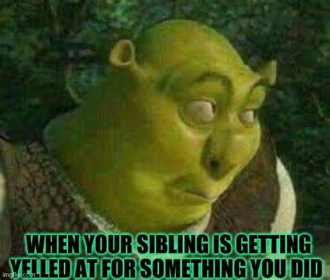 Funny Shrek Images - Infoupdate Wallpaper Images