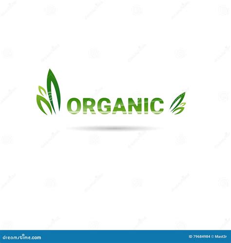 Logotipo Orgânico Amigável Do Verde Do ícone Da Web Do Produto Natural