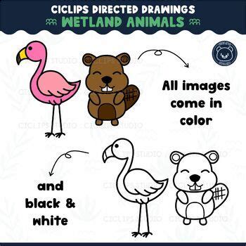 Ciclips Directed Drawings Clip Art Wetland Animals by Ciclips Studio