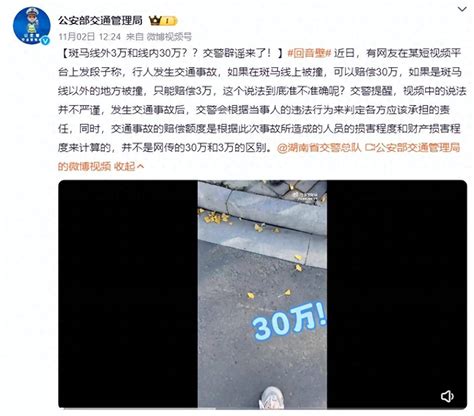 斑马线外3万和线内30万？？交警辟谣来了！赔偿视频说法