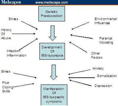 Serotonin Functional Dyspepsia Diet - cqtoday