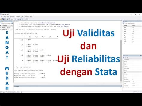 Tutorial Uji Validitas Dan Reliabilitas Dengan Stata Youtube