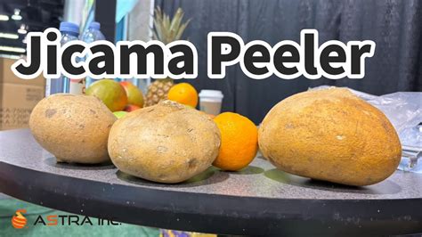 Astra Jicama Peeling Machine Fruit Peeling Machine Ka Pm Youtube