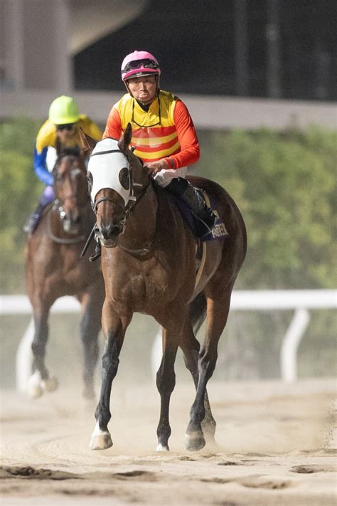 メイショウハリオが帝王賞史上初の連覇達成 Moment日刊ゲンダイ