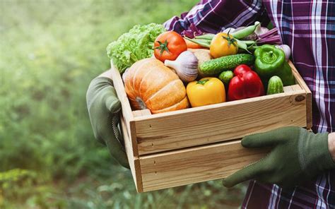 Qué puedo hacer yo por el planeta Parte 1 la alimentación