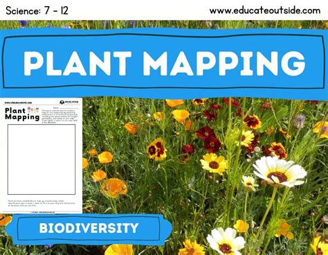 Biodiversity Investigation Mapping Plant Species A Cross Curricular Science And Math Living