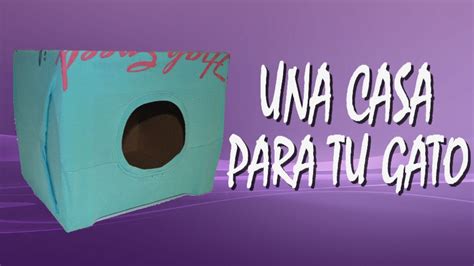 Diy Casita Para Gatos Con Caja De Carton Youtube