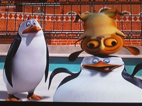 Weird Screenshot Penguins Of Madagascar Photo 23186982 Fanpop