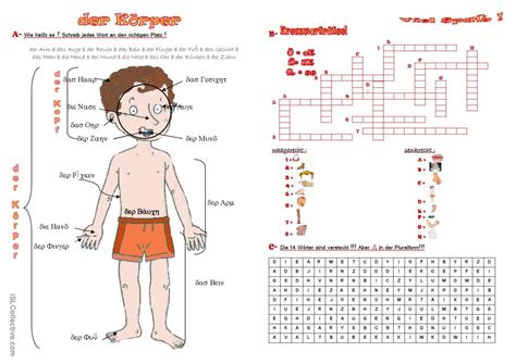 Der Körper Deutsch Daf Arbeitsblätter Pdf And Doc