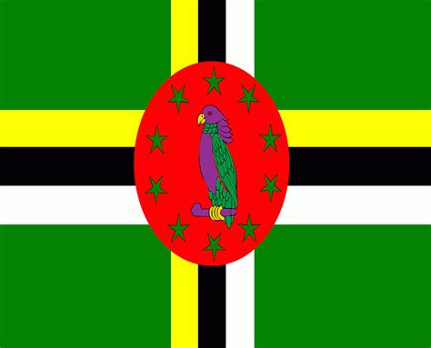 Flag of Dominica Digital Art by Artpics | Pixels