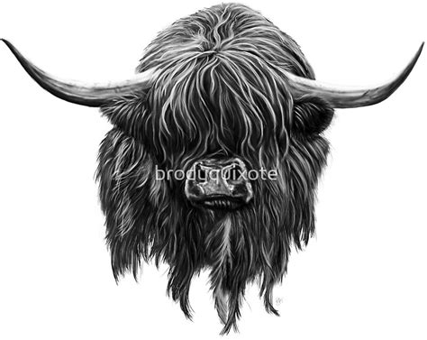 "Scottish Highland Cow" Stickers by brodyquixote | Redbubble