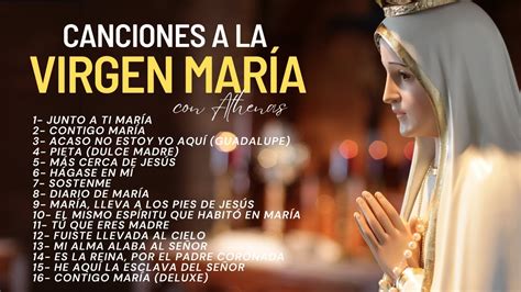 Temas De La Virgen Maria Coupon Codes Normanfinkelstein