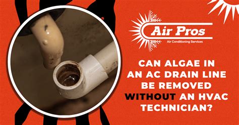 Can Algae In An Ac Drain Line Be Removed Without An Hvac Technician