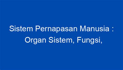 Sistem Pernapasan Manusia : Organ Sistem, Fungsi, Cara Kerja, Proses