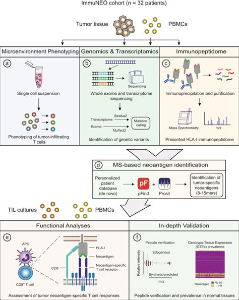 Proteogenomic Analysis Reveals Rna As A Source For Tumor Agnostic