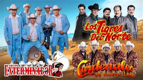 Grupo Exterminador Los Tigres Del Norte Cardenales De Nuevo Leon Mega