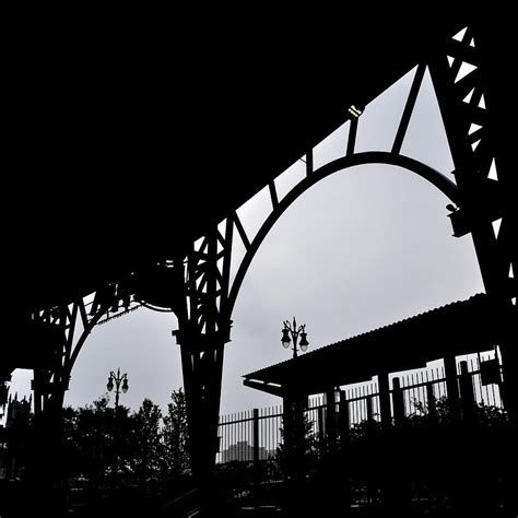 Tiger Stadium Silhouette Photograph by Michelle Calkins