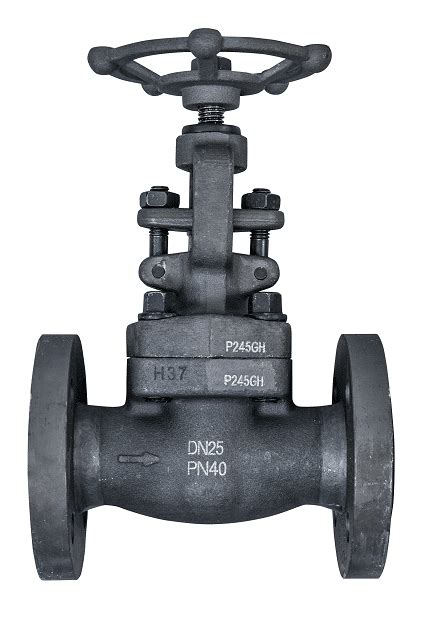 Zawory Grzybkowe Zaporowe Typ Sw Gtm Process Valves