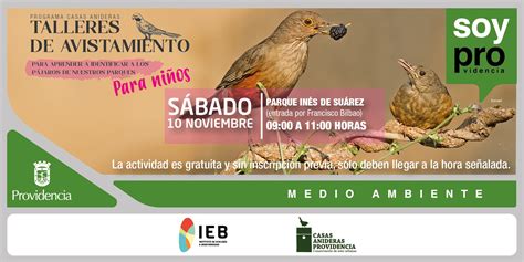 Muniprovi On Twitter Aprende Sobre Las Aves De Tu Ciudad El