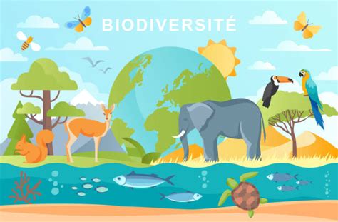 Biodiversité Définition menaces protection Conservation Nature