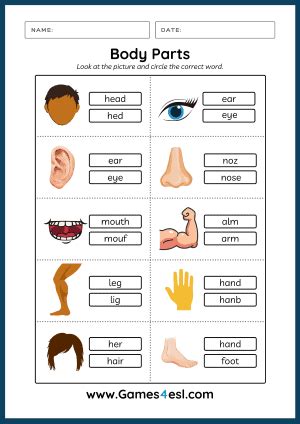 Body Parts Worksheets | Games4esl