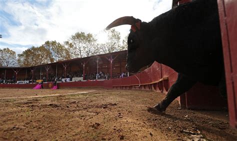 Rion des Landes la Fiesta campera a achevé la temporada 2024