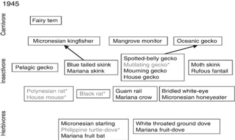 Invasive Species Exam Flashcards Quizlet