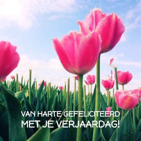 Verjaardagskaart Tulp Lll Lb Verjaardagskaarten Kaartje2go