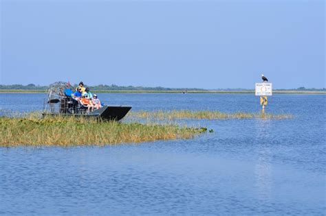 Kissimmee Swamp Tours | Experience Kissimmee