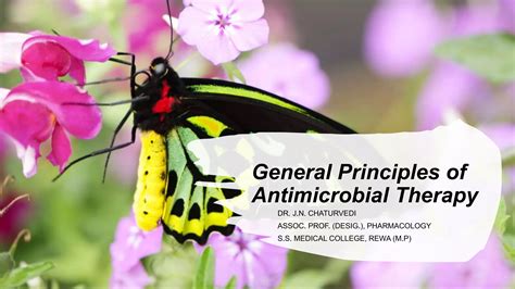 General Principles Of Antimicrobial Therapy Ppt