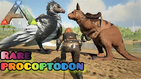 ARK SURVIVAL EVOLVED RARE Dino PROCOPTODON Taming Akaibb