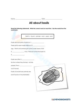 Free Printable Fossils Worksheets for Teaching & Learning