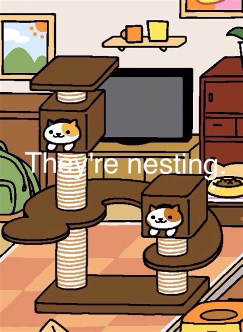 Theyre Nesting Neko Atsume Amino